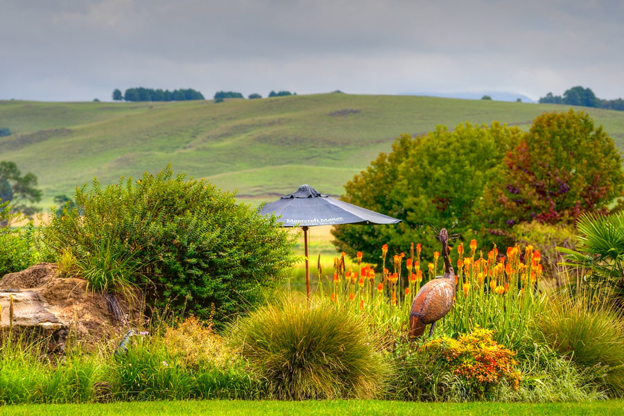 _DSC6965And8more_tonemapped-14